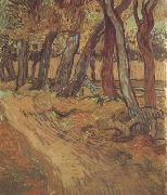 Vincent Van Gogh The Garden of Saint-Paul Hospital with Figure (nn04) china oil painting artist